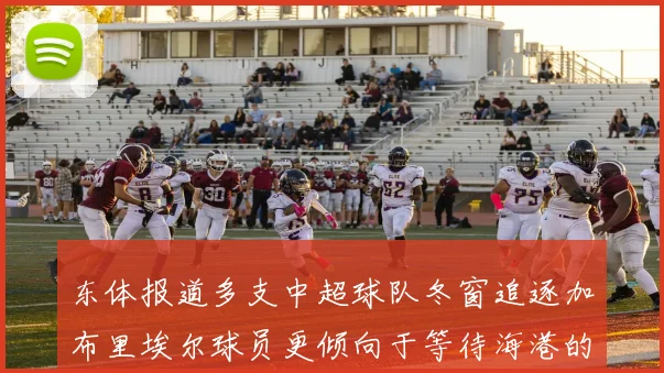 东体报道多支中超球队冬窗追逐加布里埃尔球员更倾向于等待海港的机会